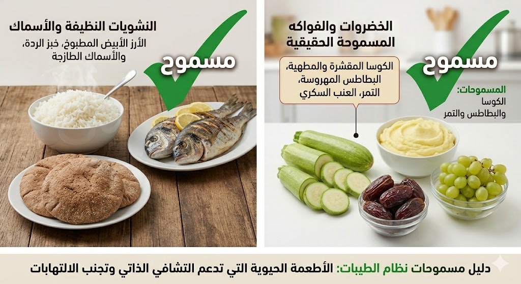 البقوليات المسموحة في نظام الطيبات: حقيقة البدائل والبروتينات البديلة مع الدكتور ضياء